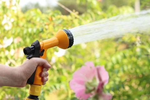 The process of watering a garden or vegetable garden with water from a hose.. Photos