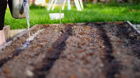 The process of watering the soil before planting Stock Footage 135103744