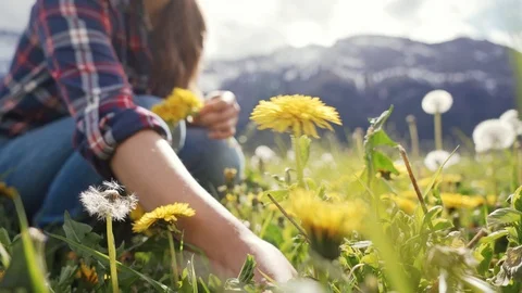 Process of weaving spring wreath. Female hands pluck a flower and weave a wreath 库存影片 116928887