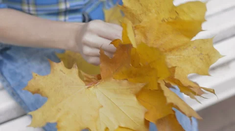 The process of weaving a wreath of maple leaves Stock Footage 55302798