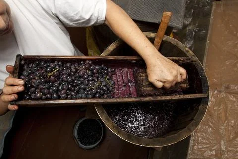 Process of wine making homemade winery with oak barrel and wooden grater blue Stock Photos