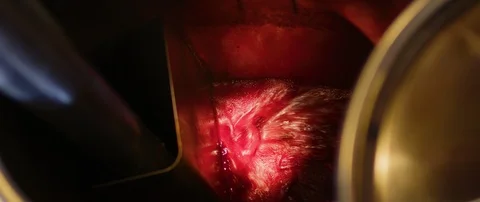 Process of winemaking in winery Stock-Footage 102204640