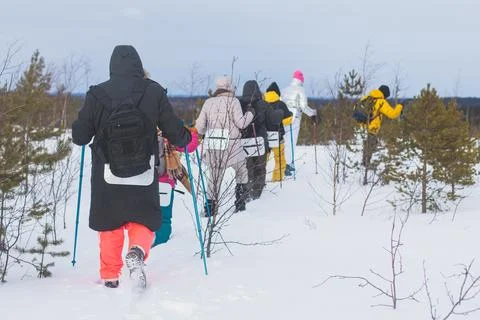 Process of winter hiking in Scandinavia, landscape view of a finnish wilder.. Fotos de archivo