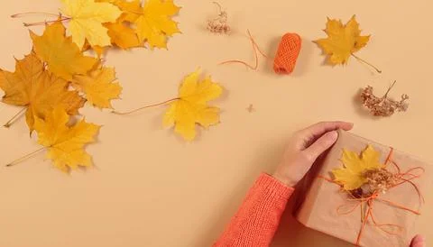 Process of wrapping and decorating presents with dried leaves Foto stock