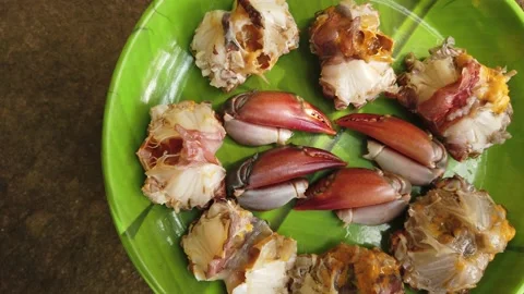 Processed crab in plate ready for cooking Stock Footage 227015841