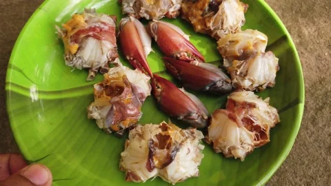 Processed crab in plate ready for cooking Stock Footage 227015847