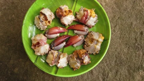 Processed crab in plate ready for cooking Stock Footage 227015854
