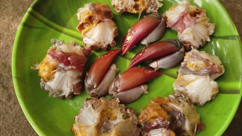 Processed crab in plate ready for cooking Stock Footage 227015899