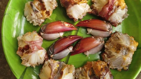 Processed crab in plate ready for cooking Stock Footage 227015925