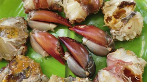 Processed crab in plate ready for cooking Stock Footage 227016006