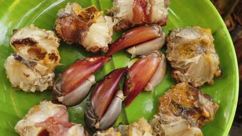 Processed crab in plate ready for cooking Stock Footage 227016011