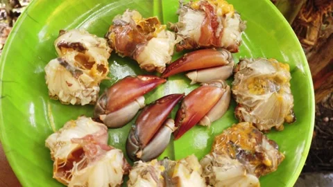 Processed crab in plate ready for cooking Stock Footage 227016022