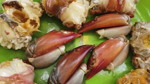 Processed crab in plate ready for cooking Stock Footage 227016111