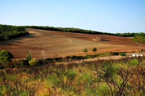 Processed farm Stock Photos