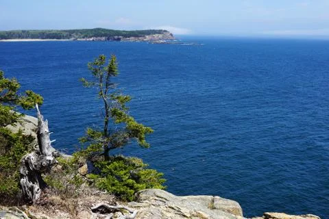 Processed by: Helicon Filter; Fir tree on the stony shore overlooking blue wa Stock Photos
