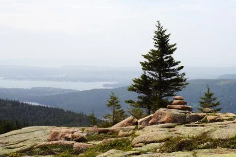 Processed by: Helicon Filter; Landscape with spruces, boulders, remote forest Foto stock