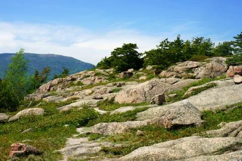 Processed by: Helicon Filter; A stony hill with low coniferous trees in a bri Stock Photos