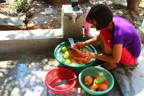 Processed vegetables Stock Photos