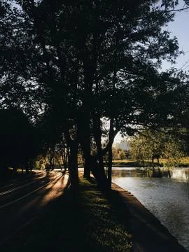 Processed with VSCO with a6 preset Fotos Stock