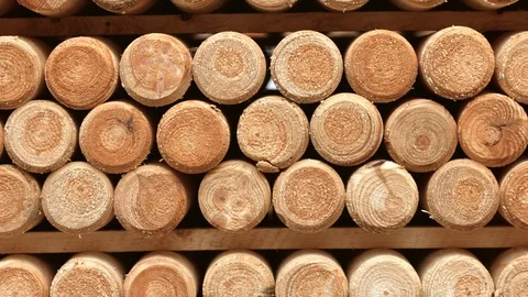 Processed wood blanks. Processed wooden logs on shelf. Front view Stock Footage 107253889