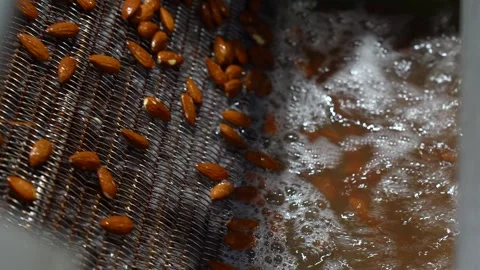  Processing and cleaning of Mendal. Stock Footage 255994199