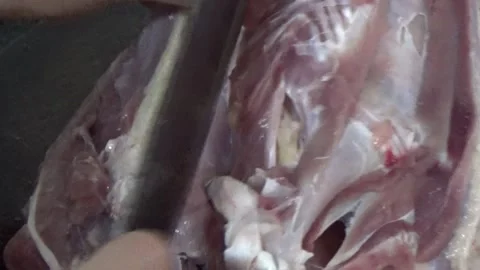 Processing and cooking goose meat dishes Stock Footage 139378639