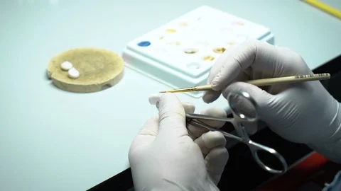 Processing and correction of the dental crown. laboratory Vidéo 117570541
