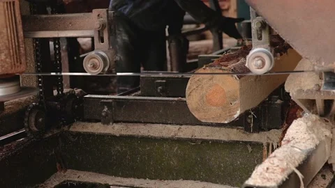 Processing and sawing timber at a sawmill. Sawing wood on a power machine. The Stock Footage 166386668
