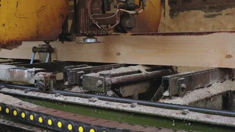 Processing and sawing timber at a sawmill. Saw machine at the wood factory Stock Footage 167283697