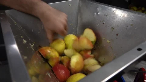 Processing of apples for juice and cider production. Stock Footage 141440278