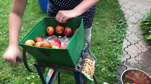 Processing of apples for juice production. Stock Footage