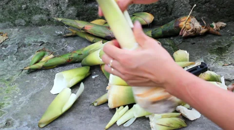 Processing of bamboo shoots to feed Stock Footage 32505526