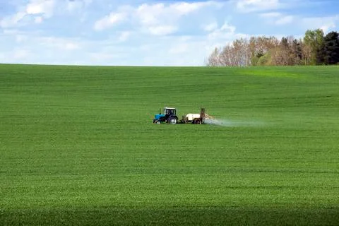 Processing of cereal 库存照片