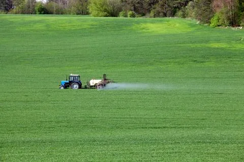 Processing of cereal 库存照片