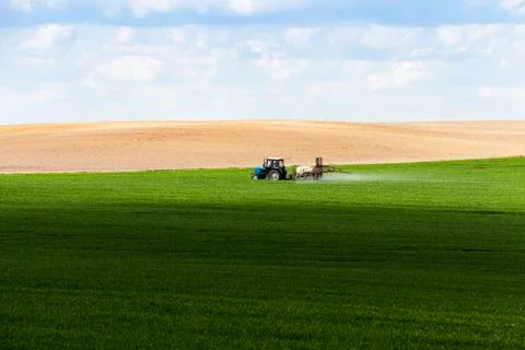 Processing of cereal 库存照片