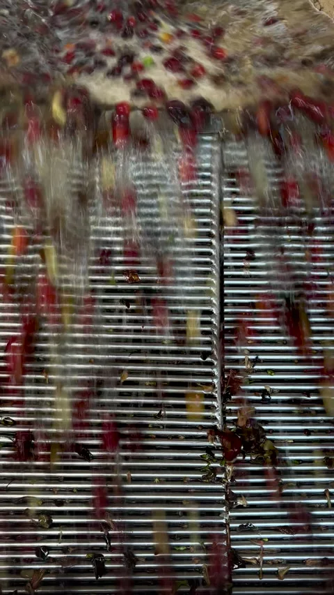 Processing cherry arabica coffee beans, Panama Stock Footage 233136965