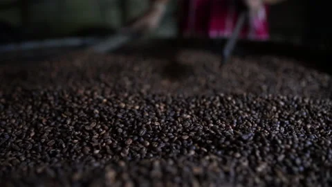 Processing coffee beans of arabica medium roasting Stock Footage 137388578