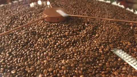 Processing of coffee beans. Stock-Footage 83826226