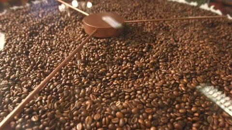 Processing of coffee beans. Видео 83826378