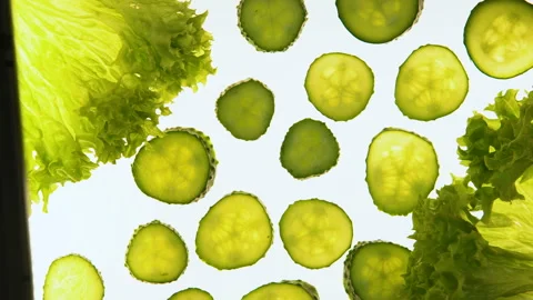 Processing cucumbers and lettuce with light, control of nitrate in vegetables Stock Footage 100281290