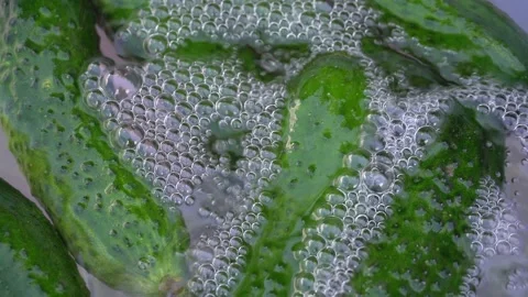 Processing cucumbers with ozone. Boiling ozone water. Vegetables in the water Stock Footage 167209865