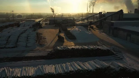 Processing of cut down forests at an industrial enterprise Stock Footage 169871541