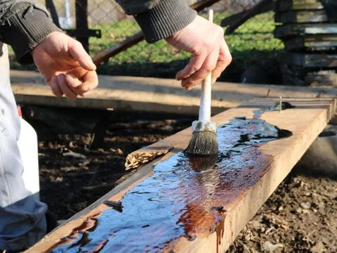 Processing with dark technical oil of a wooden board for construction Stock Photos
