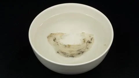 Processing Edible Bird&amp;#039;s Nest and Cooking Nourishing Soup Stock Photos