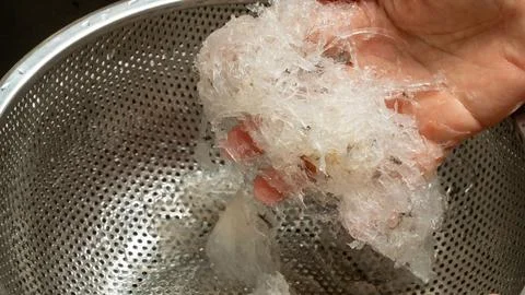 Processing Edible Bird's Nest and Cooking Nourishing Soup Stock Photos