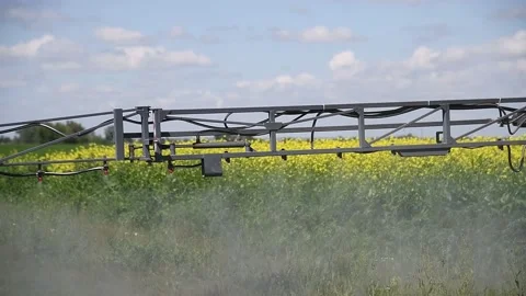 Processing of farmland from pests Stock Footage 156228626