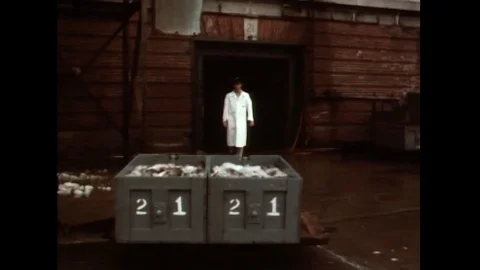 Processing fish for U.S. troop mealtime - 1967 Video stock 92684584