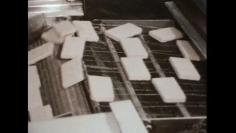 Processing fish for U.S. troop mealtime - 1967 Video stock 92684606