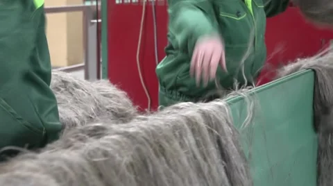 Processing of flax factory.MTS Stock Footage 58598477