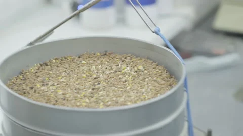 Processing food for chicken animals in the metal container at the farm Stock Footage 275578269